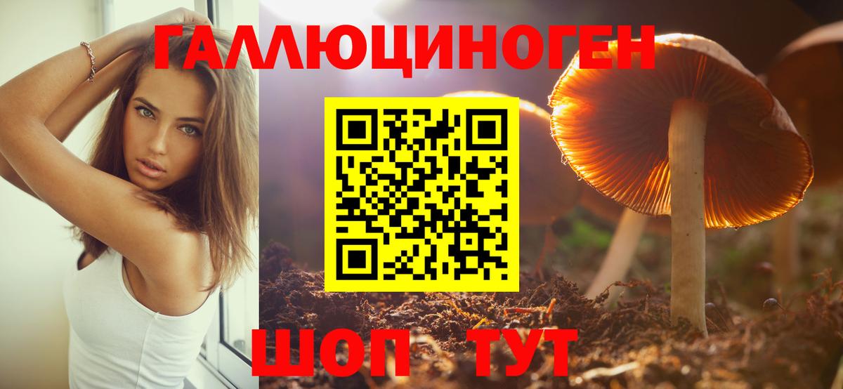 Галлюциногенные грибы Psilocybe  Псилоцибиновые грибы Psilocybe  Алейск 